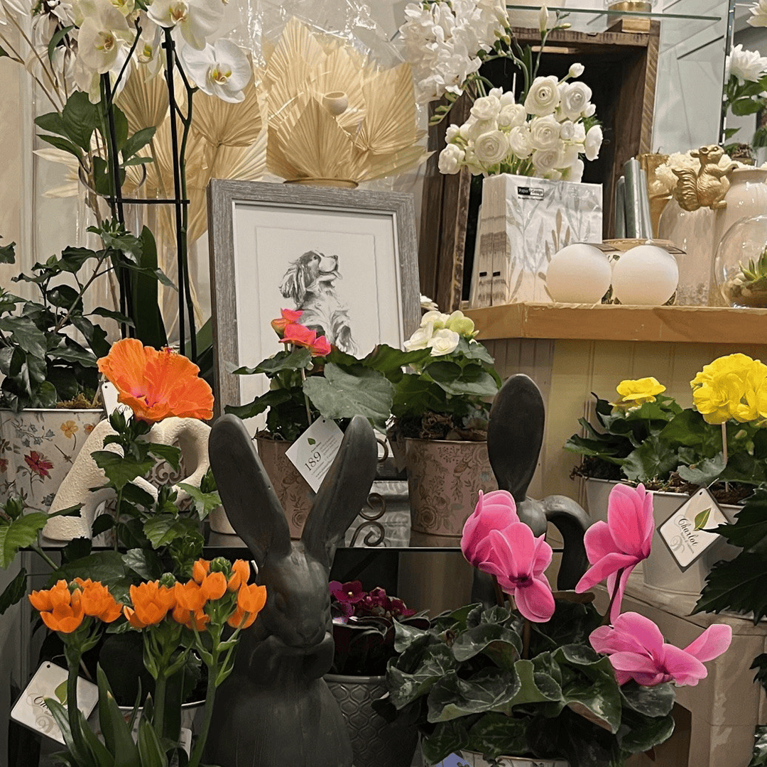 fleuriste de Longueuil